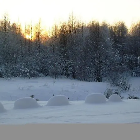Saare Puhkemaja